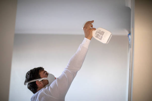 Best Fast Mold Removal  in Byrdstown, TN