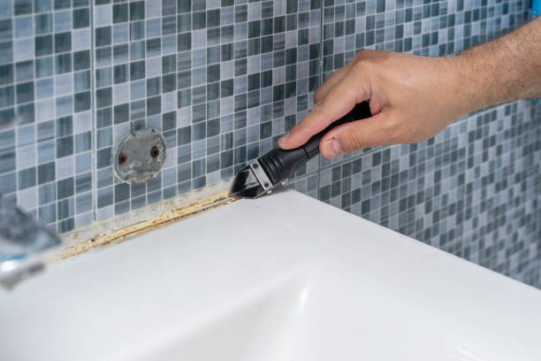 Best Professional Mold Removal  in Byrdstown, TN