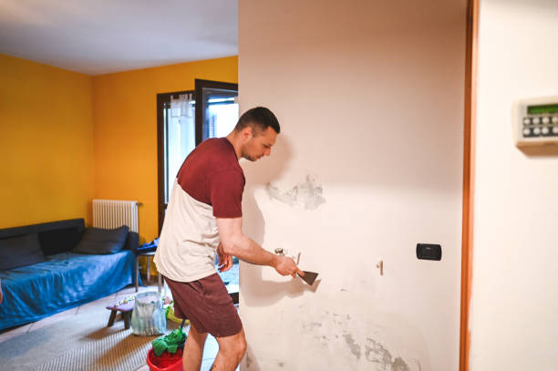Best Mold Removal Specialists  in Byrdstown, TN